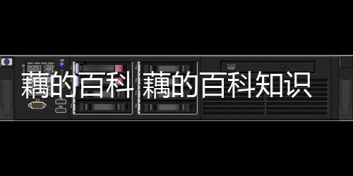 【】秋天吃藕还可以补肺养血