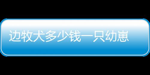 【】只幼崽边现在开始吧