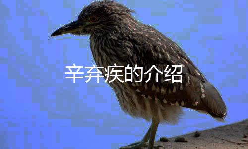 【】与苏轼合称“苏辛”