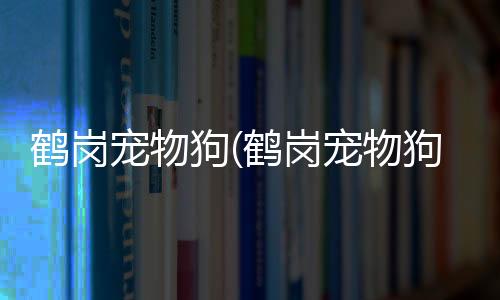 【】伴侣大型狗体格强壮