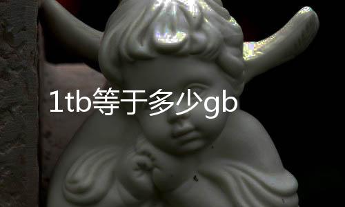 【】TB是等于多少指“terabyte”