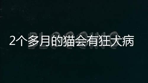 【】小猫给出一些建议和预防措施