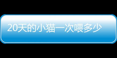 【】随后从四个方面进行分析探讨