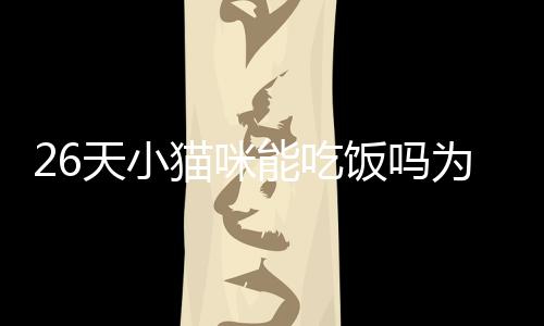 【】我们将全面解答这些问题