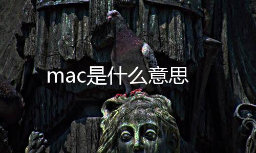 【】系统都是意思macOS的独立系统