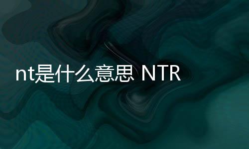 【】“nt”通常是一个贬义词